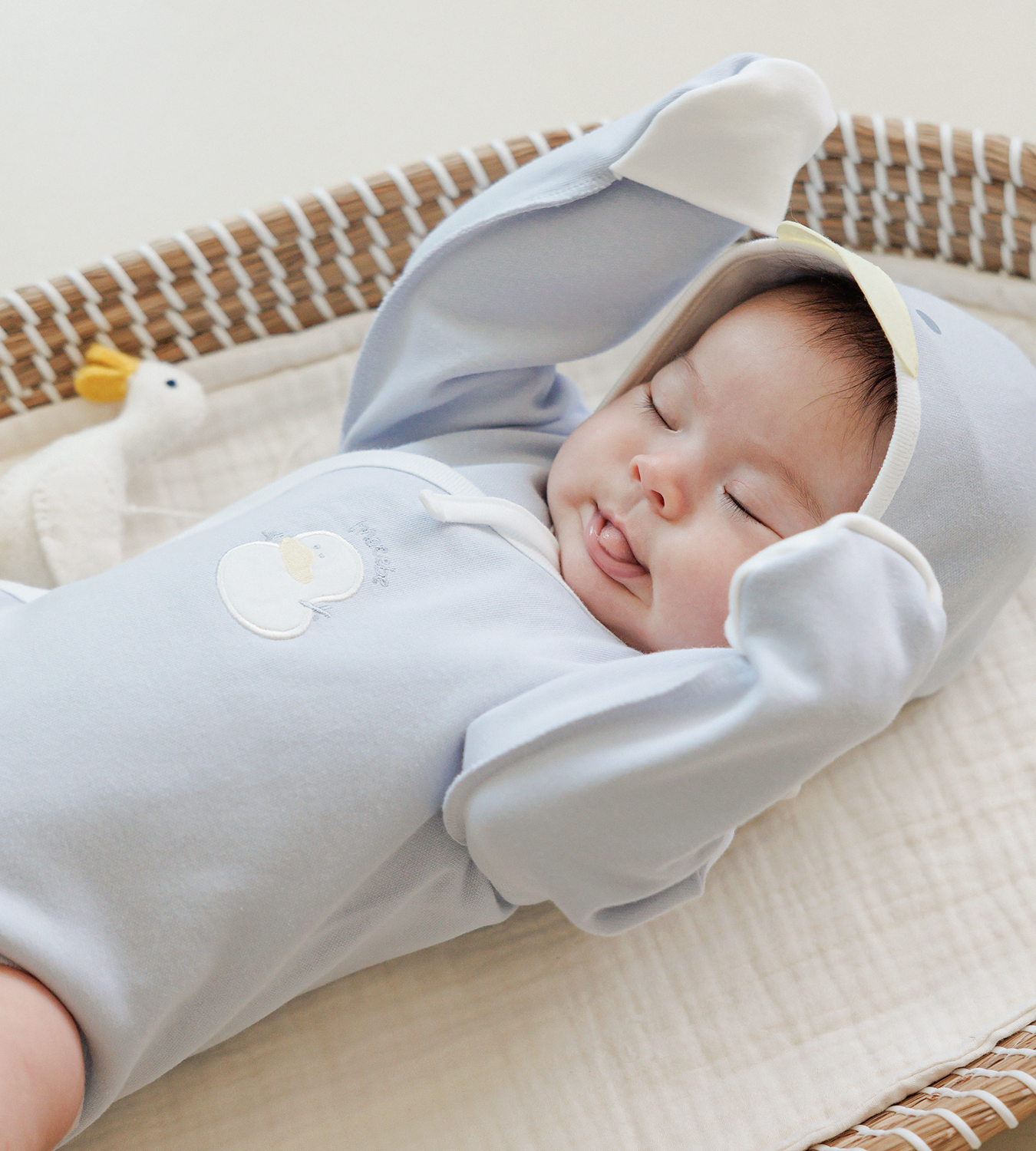A baby asleep in a basket